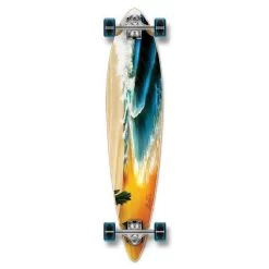 Beach 40" Pintail Longboard From Punked