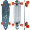 Beercan Chrome 30" Pintail Longboard