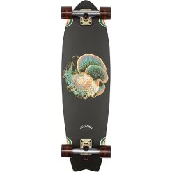 Globe Chromantic Bio-Morph 33 Inch Kicktail Cruiser Longboard