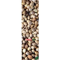 Mob High Times Planting Time Griptape