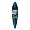 Punked Pintail Wave Longboard Deck